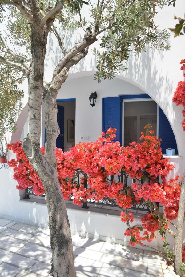 Dedalos Studios Naxos Naxos City Exterior photo